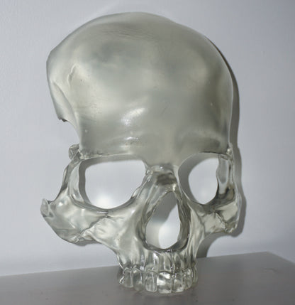 Transparent Skull Mask | Clear Human Skull Face Mask | Anatomical Skeleton Costume Mask | Gothic Horror Cosplay Accessory | XS to XL