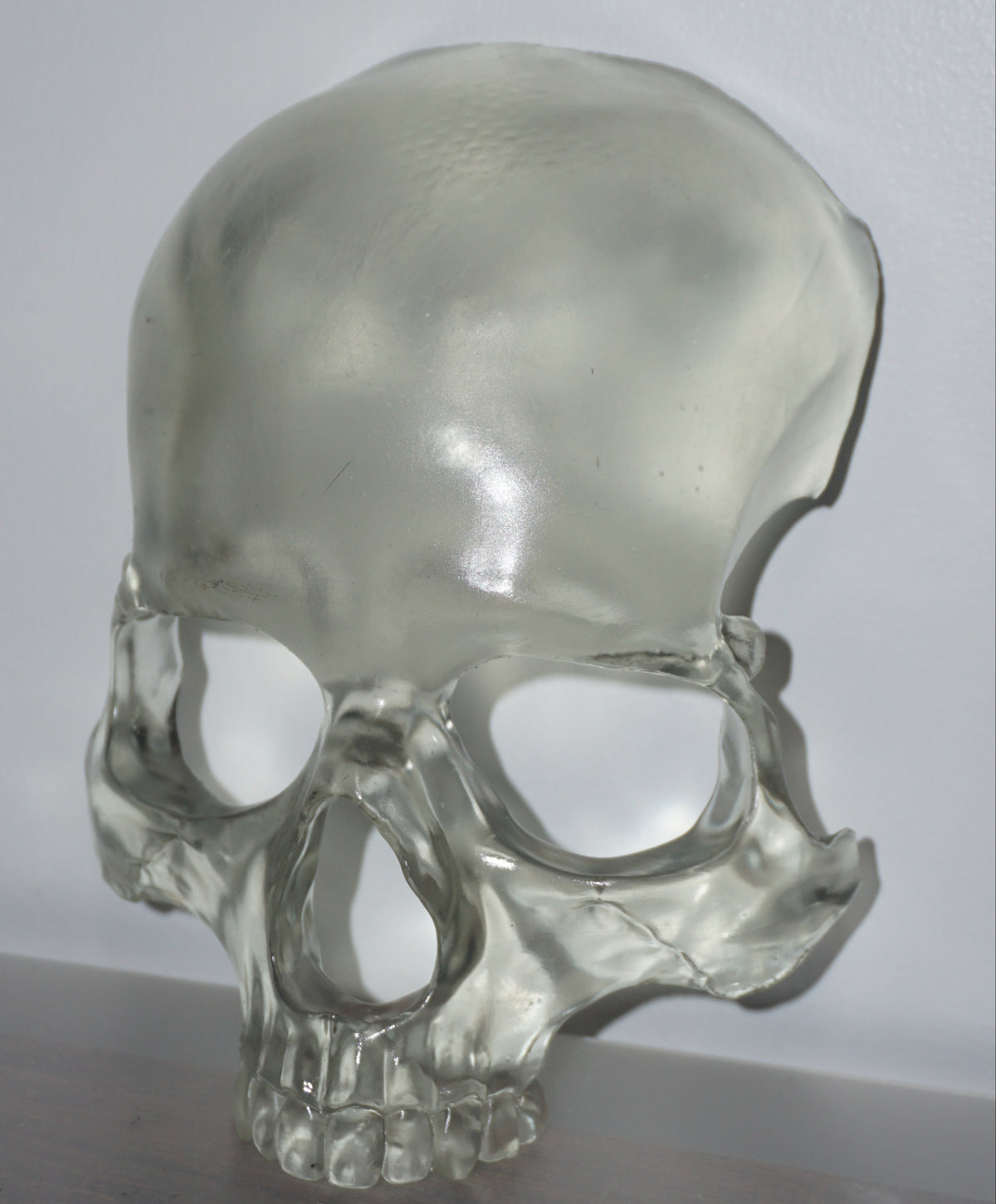Transparent Skull Mask | Clear Human Skull Face Mask | Anatomical Skeleton Costume Mask | Gothic Horror Cosplay Accessory | XS to XL