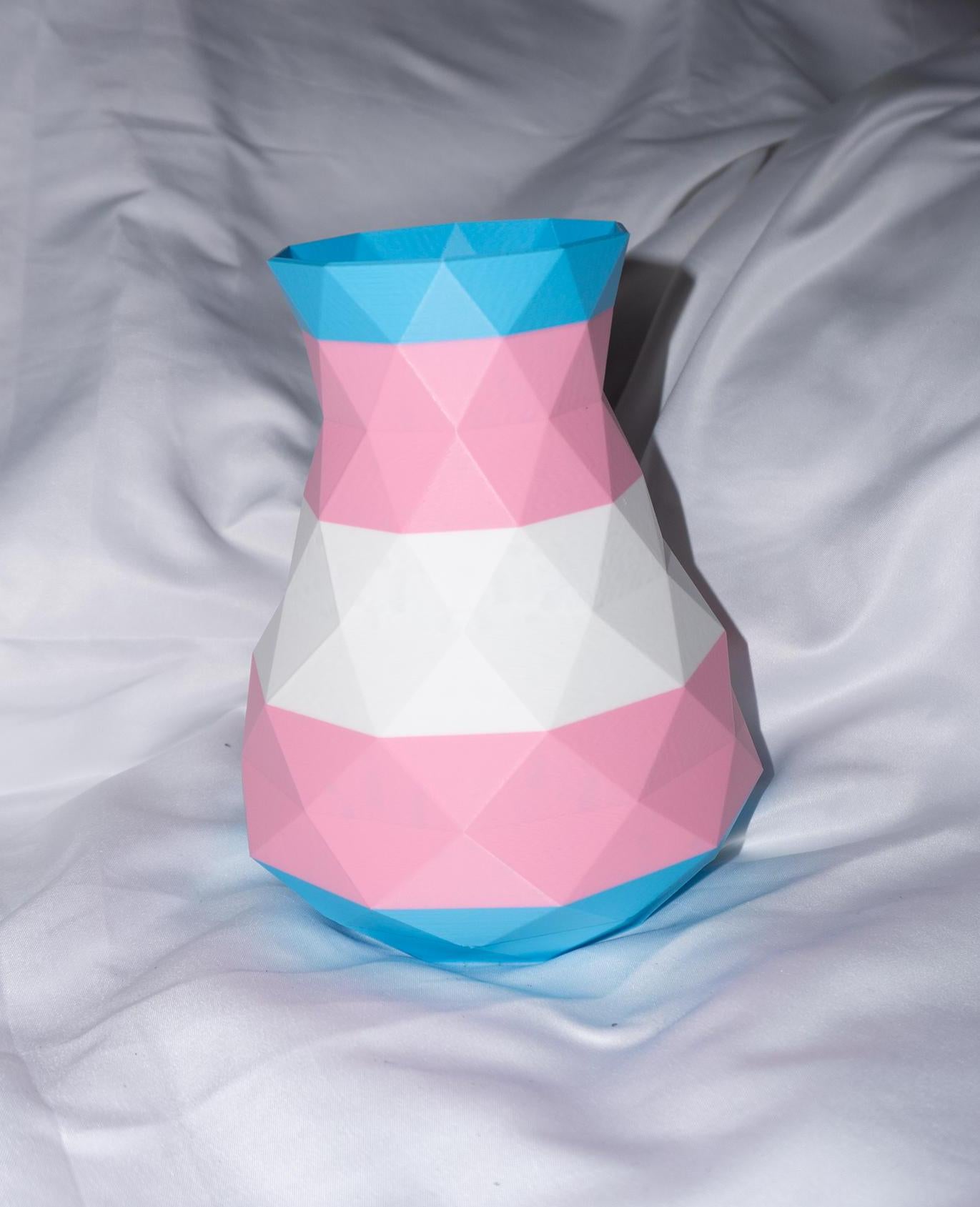 Trans Pride Vase | Plants | Garden | LGBTQ | PRIDE
