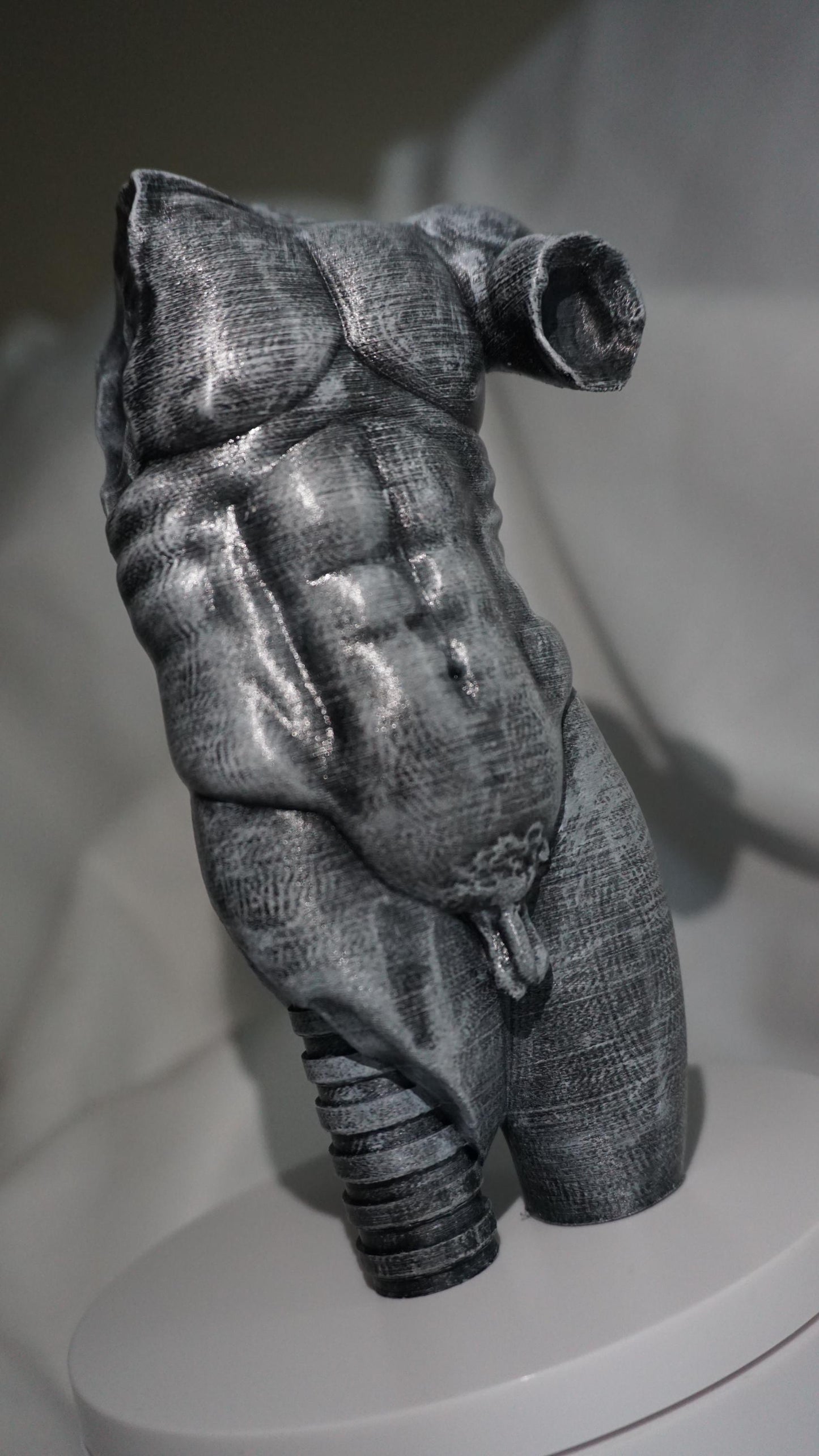 Eternal Form, The Sculpted Torso Antique Statue