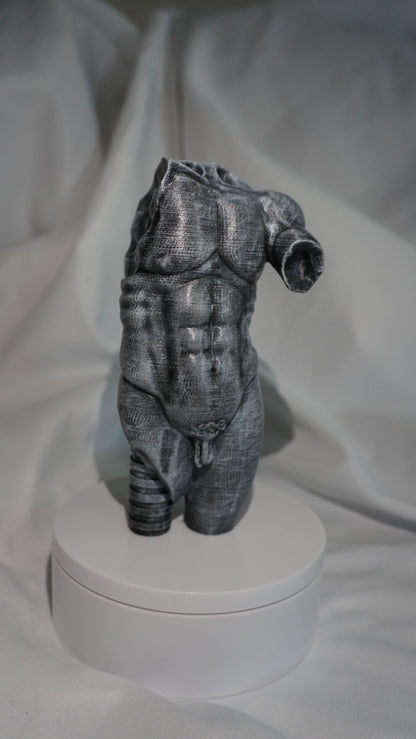 Eternal Form, The Sculpted Torso Antique Statue