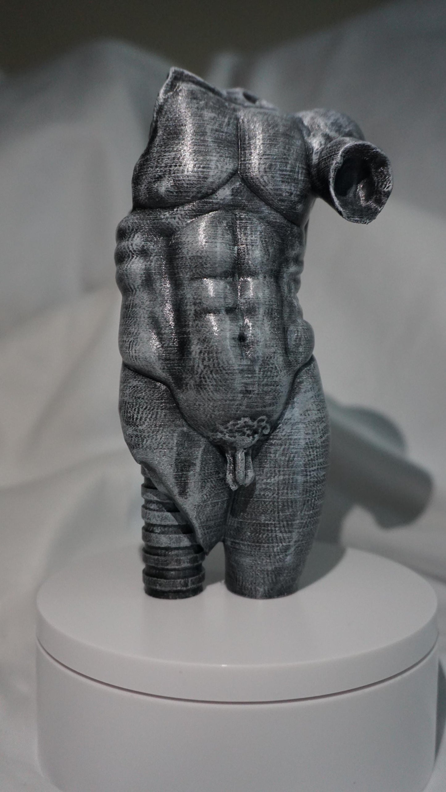Eternal Form, The Sculpted Torso Antique Statue