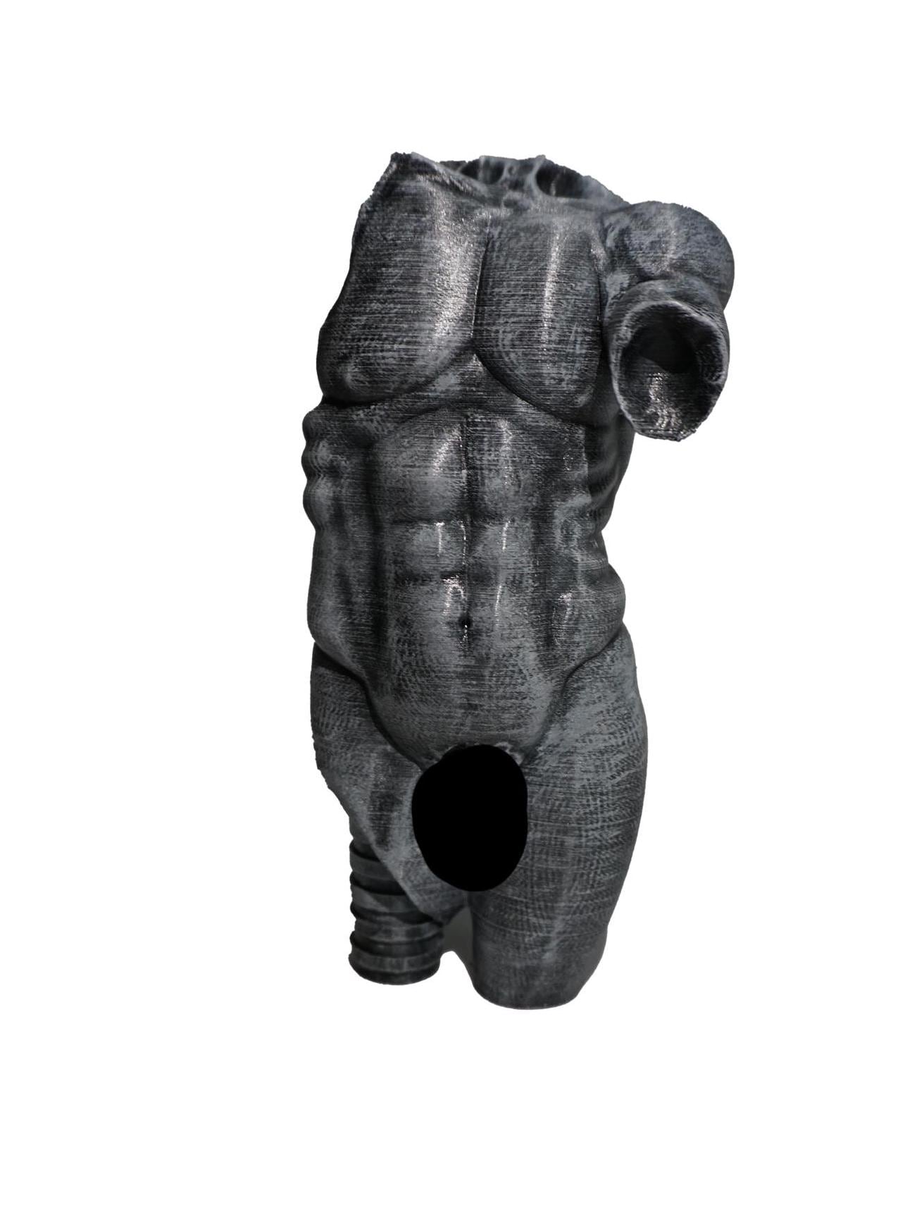 Eternal Form, The Sculpted Torso Antique Statue