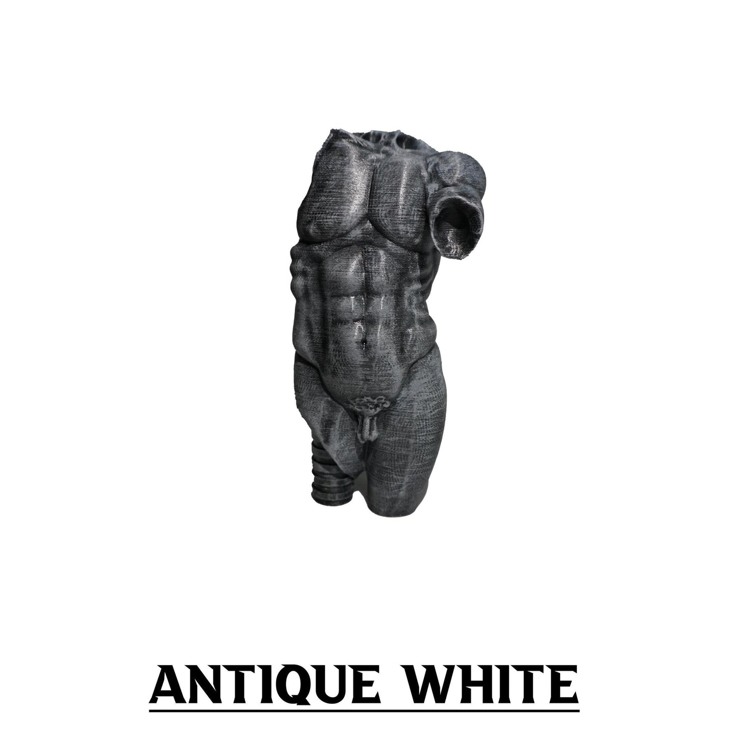 Eternal Form, The Sculpted Torso Antique Statue
