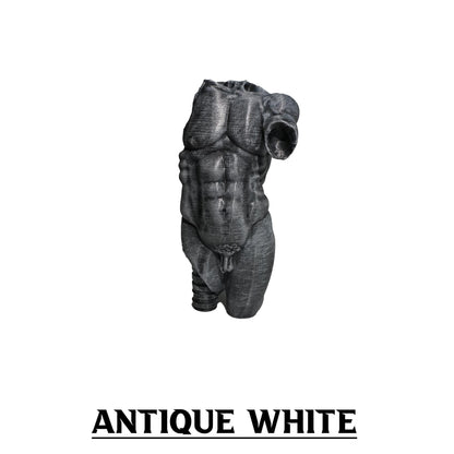Eternal Form, The Sculpted Torso Antique Statue
