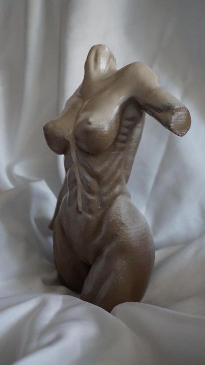 Grace in Tension – Athletic Female Torso