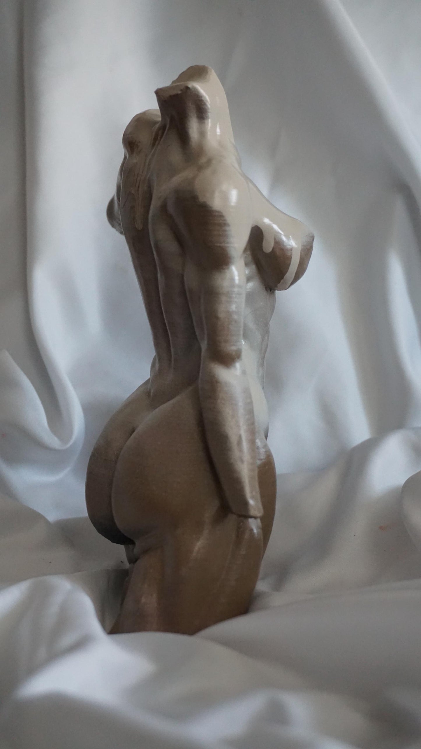 Grace in Tension – Athletic Female Torso