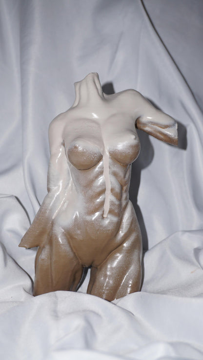 Grace in Tension – Athletic Female Torso