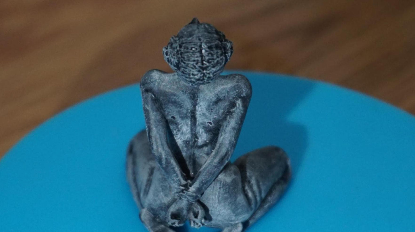 Galactic Captive – Tribute to the Rebel Spirit Statue