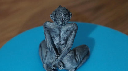 Galactic Captive – Tribute to the Rebel Spirit Statue